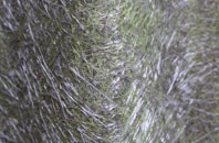 Firhill fibreglass roof work